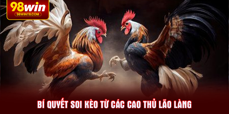 Bí quyết soi kèo từ các cao thủ lão làng